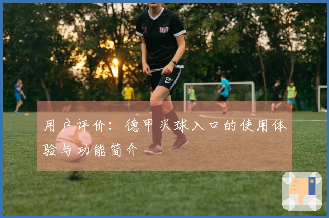 用户评价：德甲买球入口的使用体验与功能简介