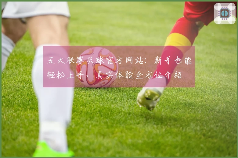 五大联赛买球官方网站：新手也能轻松上手，真实体验全方位介绍