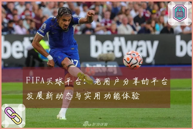FIFA买球平台：老用户分享的平台发展新动态与实用功能体验