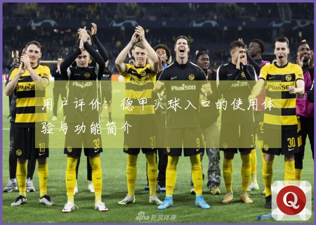 用户评价：德甲买球入口的使用体验与功能简介