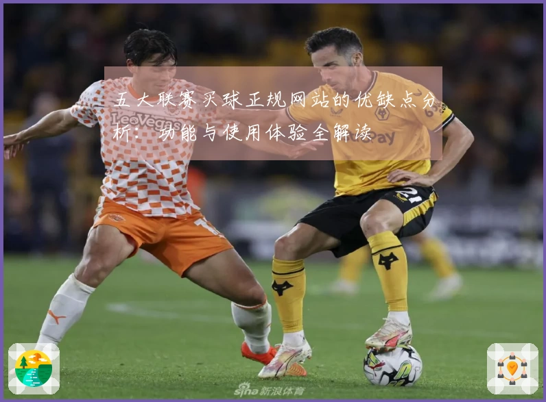 五大联赛买球正规网站的优缺点分析：功能与使用体验全解读