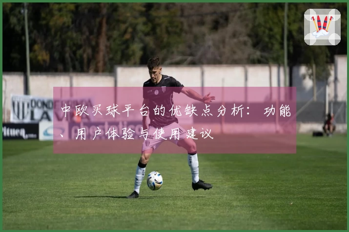 中欧买球平台的优缺点分析：功能、用户体验与使用建议