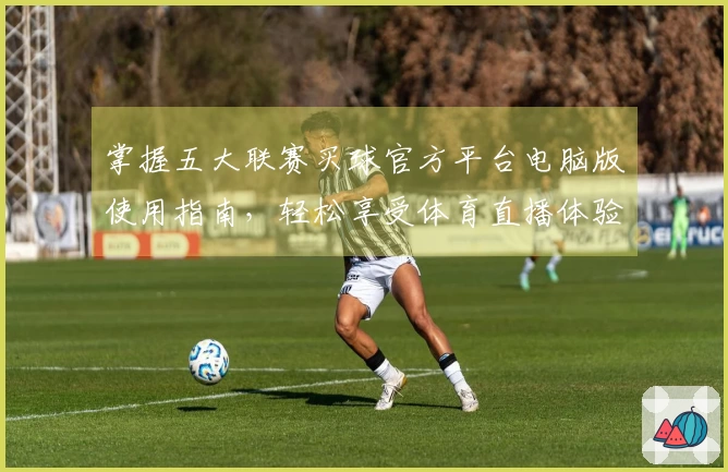 掌握五大联赛买球官方平台电脑版使用指南，轻松享受体育直播体验