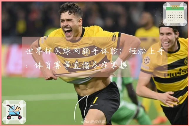 世界杯买球网新手体验：轻松上手，体育赛事直播尽在掌握