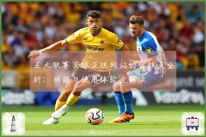 五大联赛买球正规网站的优缺点分析：功能与使用体验全解读