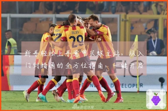 新手轻松上手意甲买球主站，从入门到精通的全方位指南，一键开启精彩赛事。